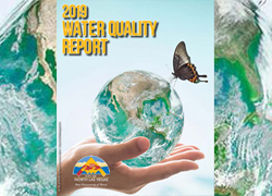 2019-water-quality-news-cover
